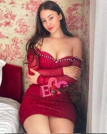 meena classic escort service puri